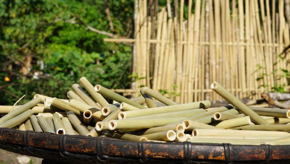 Regulations of Supervisory Board and Board of Directors