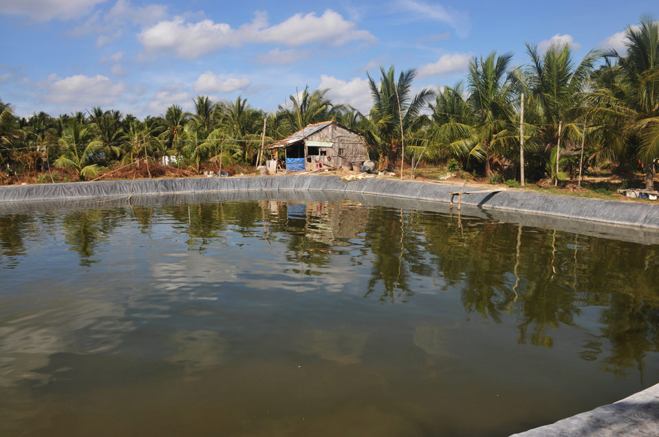 Vietnam suspends visas for foreign travellers starting March 18