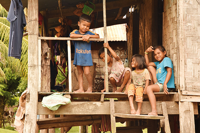 Nutrition sensitive agriculture in Lao PDR and Vietnam