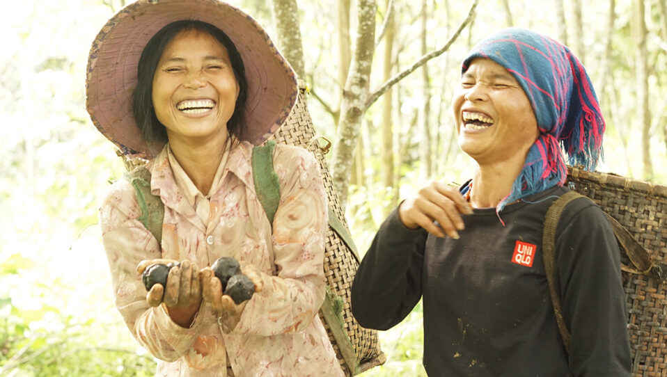 Sustainable forestry helps poor families earn better incomes