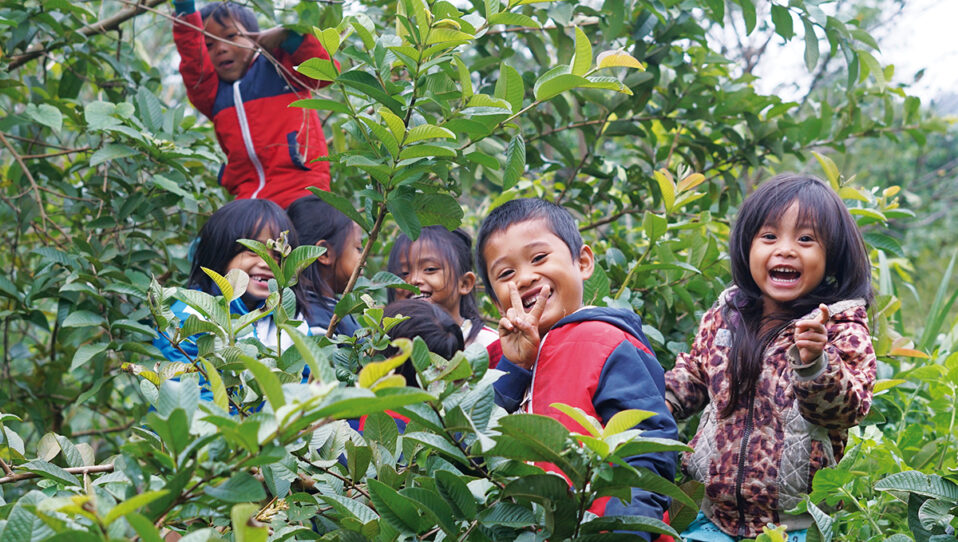 MCNV Birthday Calendar