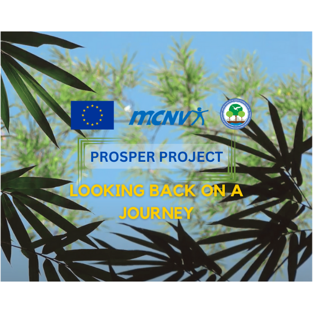 PROSPER project: Looking back on a journey