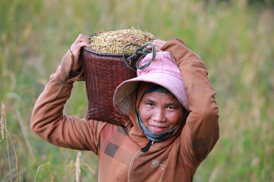 A Trusted MCNV Program in a New Form: A Sustainable Future for 300 Poor Farming Families in Huong Phung and Huong Lap